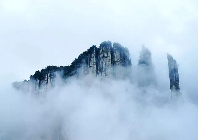 儿童做了睾丸手术2个月后可以打疫苗吗?-知识星球平台