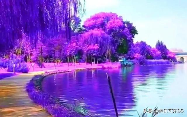 沪江开心词场
